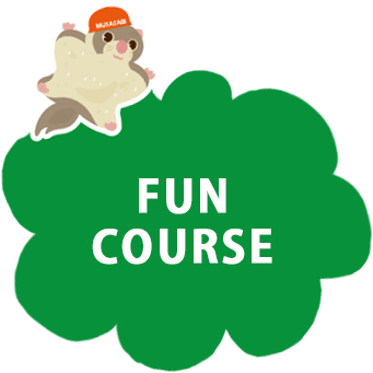 Fun course