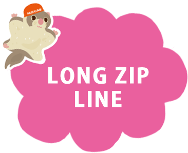 Long zip line