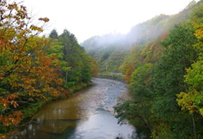 Osaru River Shiraginu no Toko